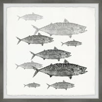Marmont Hill Printed Fish Framed Art Prints