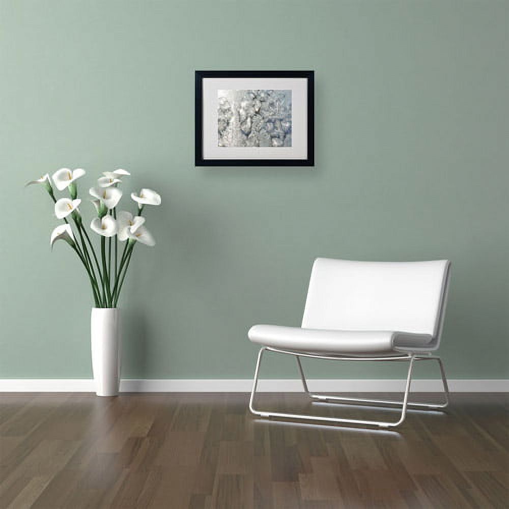 Trademark Fine Art "Frost Pattern in the Sun" Canvas Art by Kurt Shaffer, Black Frame