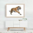 thumbnail image 6 of Photograph of a tiger in the snow 01 - Photography Tiger Animal Wildlife Jungle Nature Wilderness Scenic Unframed Wall Art Print 24 x 36 inches, 6 of 7