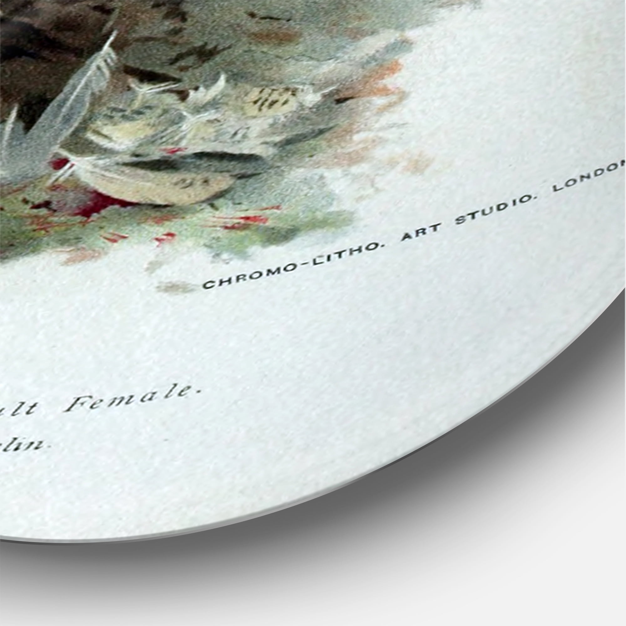 Designart 'Ancient Bird Life V' Traditional Circle Metal Wall Art 11x11 - Disc of 11