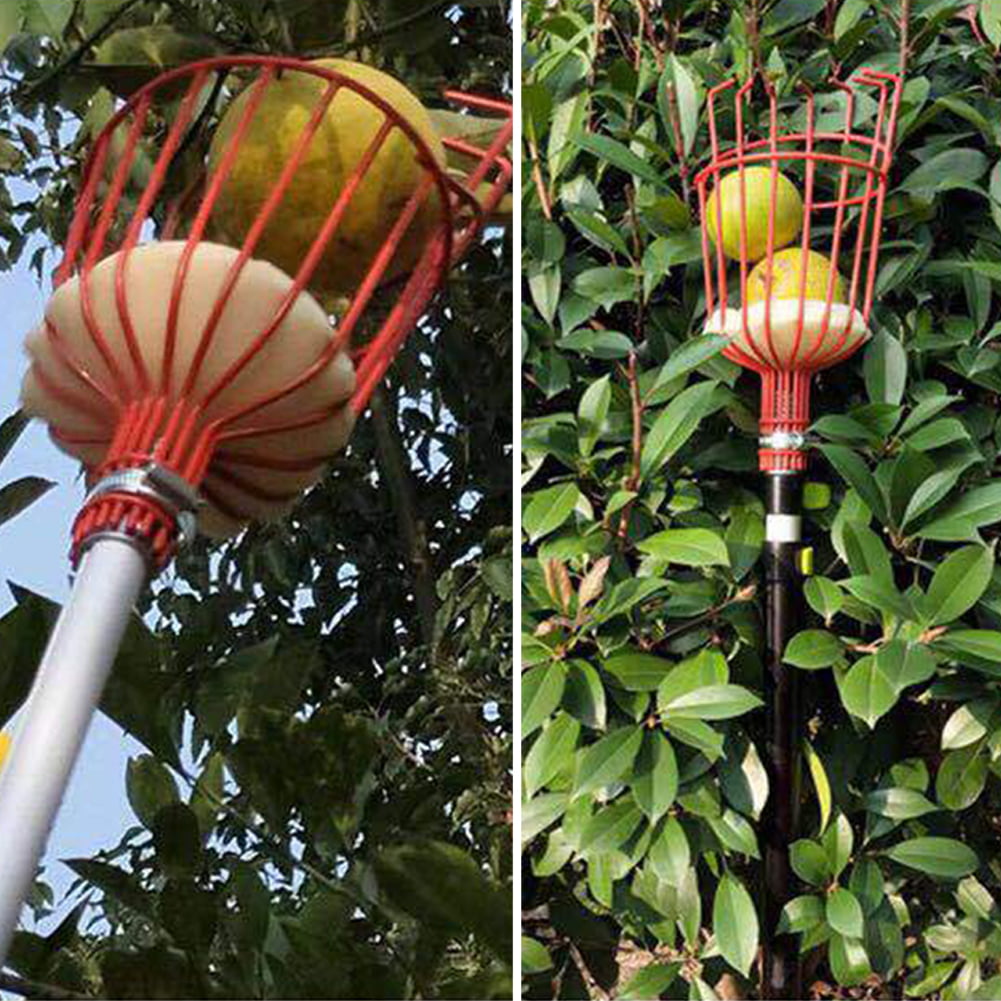 Horticultural Garden Fruit Picker Basket Apple Pear Peach Picking Catcher Tool H 