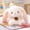 White, variant on Xiangdundun Scented Plush Rabbit Doll, Soft Stuffed Animal Toy with Aroma, 6.7" Fluffy Bunny Table Decor, Cute Gift for Home Office Desk, White Blue Red