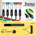 thumbnail image 4 of Door Anchor Strap and Resistance Bands for Working Out with Handles, Strength  Equipment Exercise Bands for Full  Workout, Non-Slip Multi Point Attachment for  Gym Fitness, 4 of 6