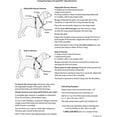 thumbnail image 4 of 3/4in Rain Song 20-30 Step In Dog Harness, 4 of 4
