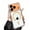 Orange, variant on Allytechgroup for iPhone 17 Pro Magnetic Rugged Clear Protective Case, Corner Protective Bumper Anti-Scratch Cover Compatible with Magsafe, Orange