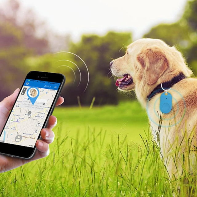 Feltree Bluetooth 5.0 Anti-Loss Tracker with Two-Way Alert, Key/Wallet/Pet Finder with Breakpoint Positioning & Remote Camera
