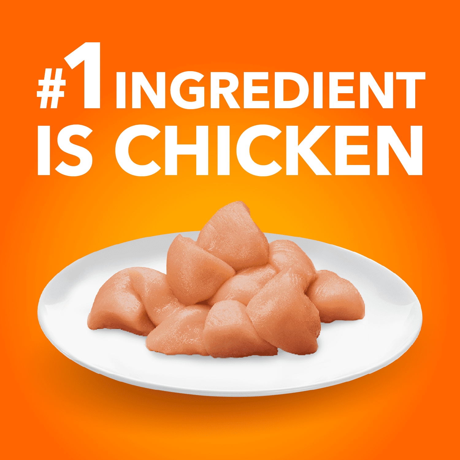 IAMS PROACTIVE HEALTH Healthy Senior Dry Cat Food with Chicken, 3.18kg Bag