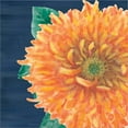 thumbnail image 2 of Great Art Now Floral Drama XI by Beth Grove, Framed Wall Art, 13.25W x 13.25H, 2 of 3