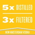 thumbnail image 3 of New Amsterdam Pineapple Flavored Vodka, 750 mL Bottle, 35% ABV, 3 of 6
