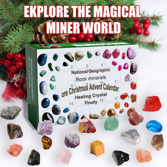 Mineral Fossil Stone Kit Christmas 24 Days Countdown Advent Calendar Christmas Blind Box Early Education Toy Gift #1_Special Gift