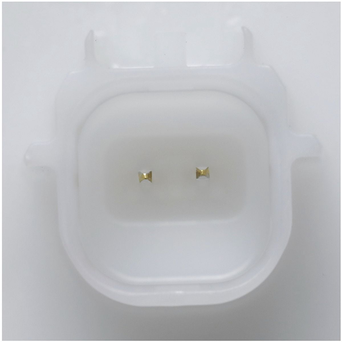 Fuel Pump Module Assembly
