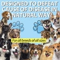 thumbnail image 3 of Cough Treatment for Dogs Onznoz Kennel Cough 60mL, 3 of 6
