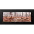 thumbnail image 2 of Frank, Assaf 14x7 Black Modern Framed Museum Art Print Titled - Autumn forest, 2 of 5