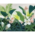 thumbnail image 2 of Nan 18x15 White Modern Wood Framed Museum Art Print Titled - Tropics, 2 of 4