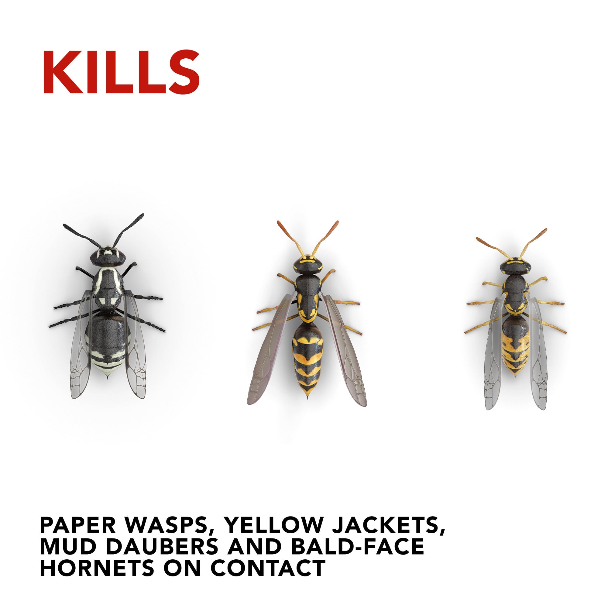 Raid Wasp Hornet Killer 33 17 5 Oz Walmart Com