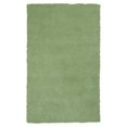 thumbnail image 1 of HomeRoots 352641 5 x 7 ft. Polyester Spearmint Green Area Rug, 1 of 1