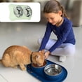 thumbnail image 4 of Cuenco para perros Laklulu, cuenco para gatos, cuenco integrado para beber y comer gatos, cuenco para perros, cuenco para gatos, cuenco de acero inoxidable para alimentación de mascotas, 4 of 5
