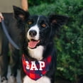 thumbnail image 3 of Gap Pet, Dog Clothes, Buffalo Plaid Dog Bandana, Red, 3 of 5