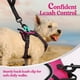 thumbnail image 5 of Arnés para perros Rabbitgoo, ajustable, sin tirones, rosa intenso, XS, 5 of 7