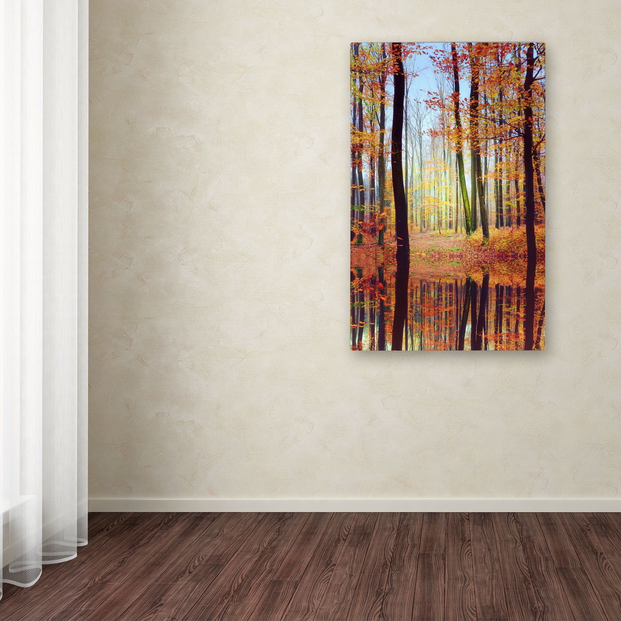 Trademark Fine Art "Fall Mirror" Canvas Art by Philippe Sainte-Laudy