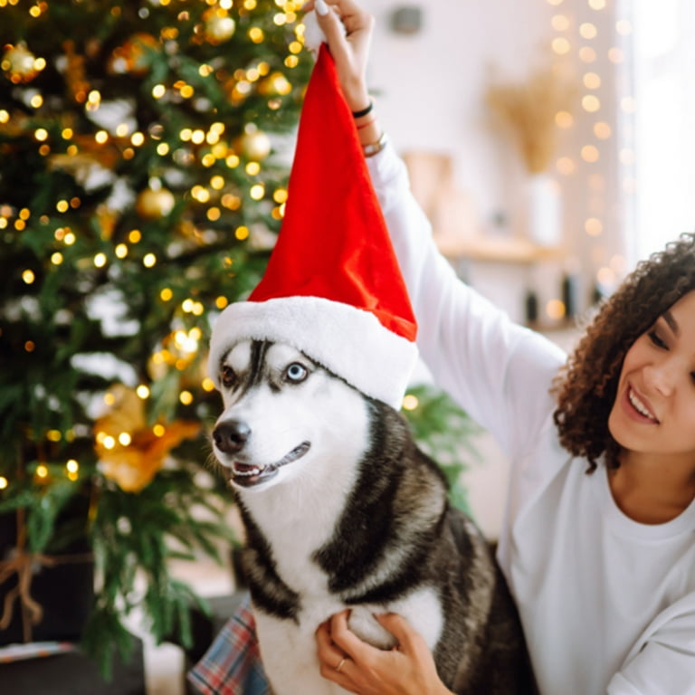 Dog stocking cheap cap