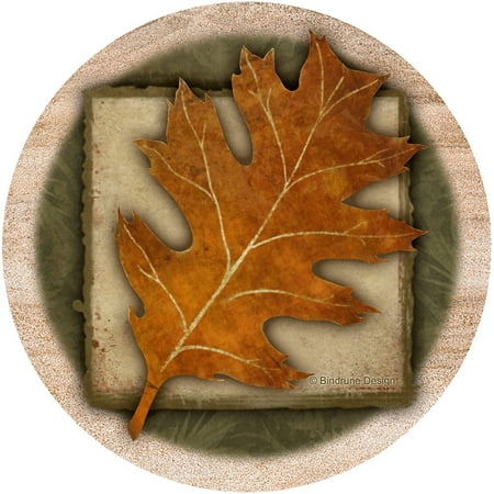 UPC 795785160260 product image for Thirstystone Drink Coasters Set, Oak Leaf | upcitemdb.com