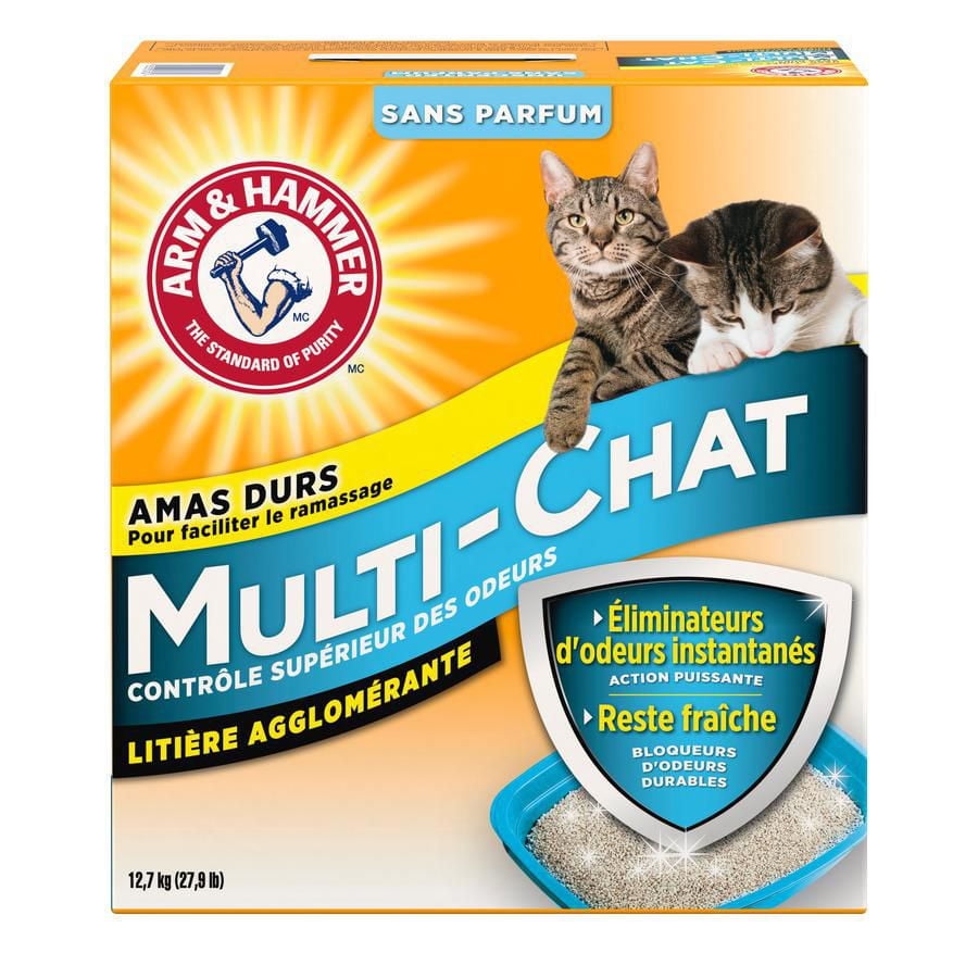 What is Multi Cat Litter: Ultimate Guide to Best Choices