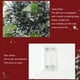 thumbnail image 5 of Guirnalda navideña de luces a pilas | Guirnalda metálica verde de 200 cm con brillantes | Decoración para fiestas navideñas de interior y exterior, 5 of 6
