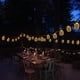 thumbnail image 3 of FloreceBien - Cadena de luces LED con forma de piña de 15 pies y 30 luces LED, funciona con pilas, para patio, hogar, boda, fiesta, dormitorio, decoración de cumpleaños, 3 of 7