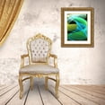 thumbnail image 3 of Hausenflock, Alan 12x14 Gold Ornate Wood Framed with Double Matting Museum Art Print Titled - Freeform I, 3 of 4