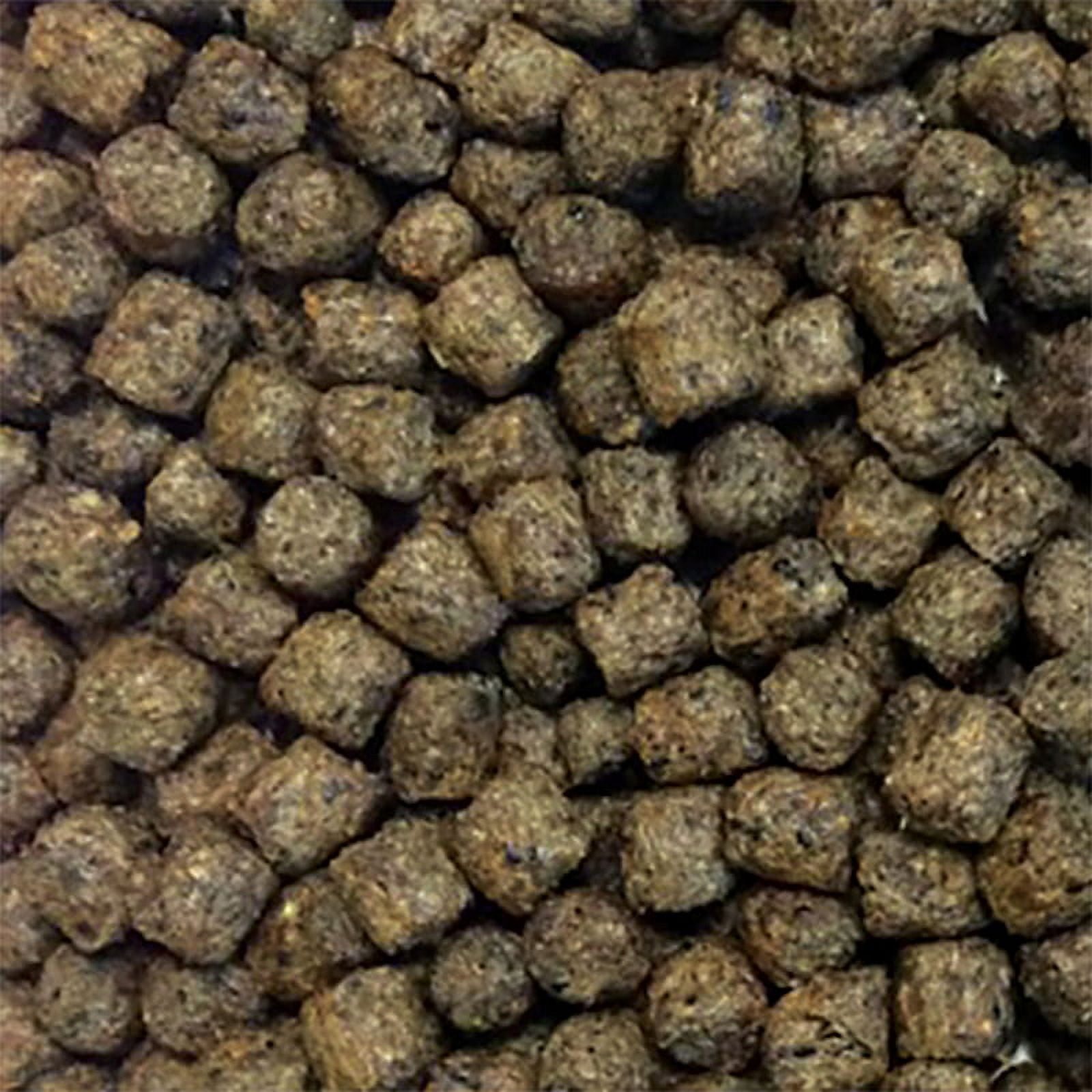 The Pond Guy  Staple Fish Food - 12 Pound Bucket