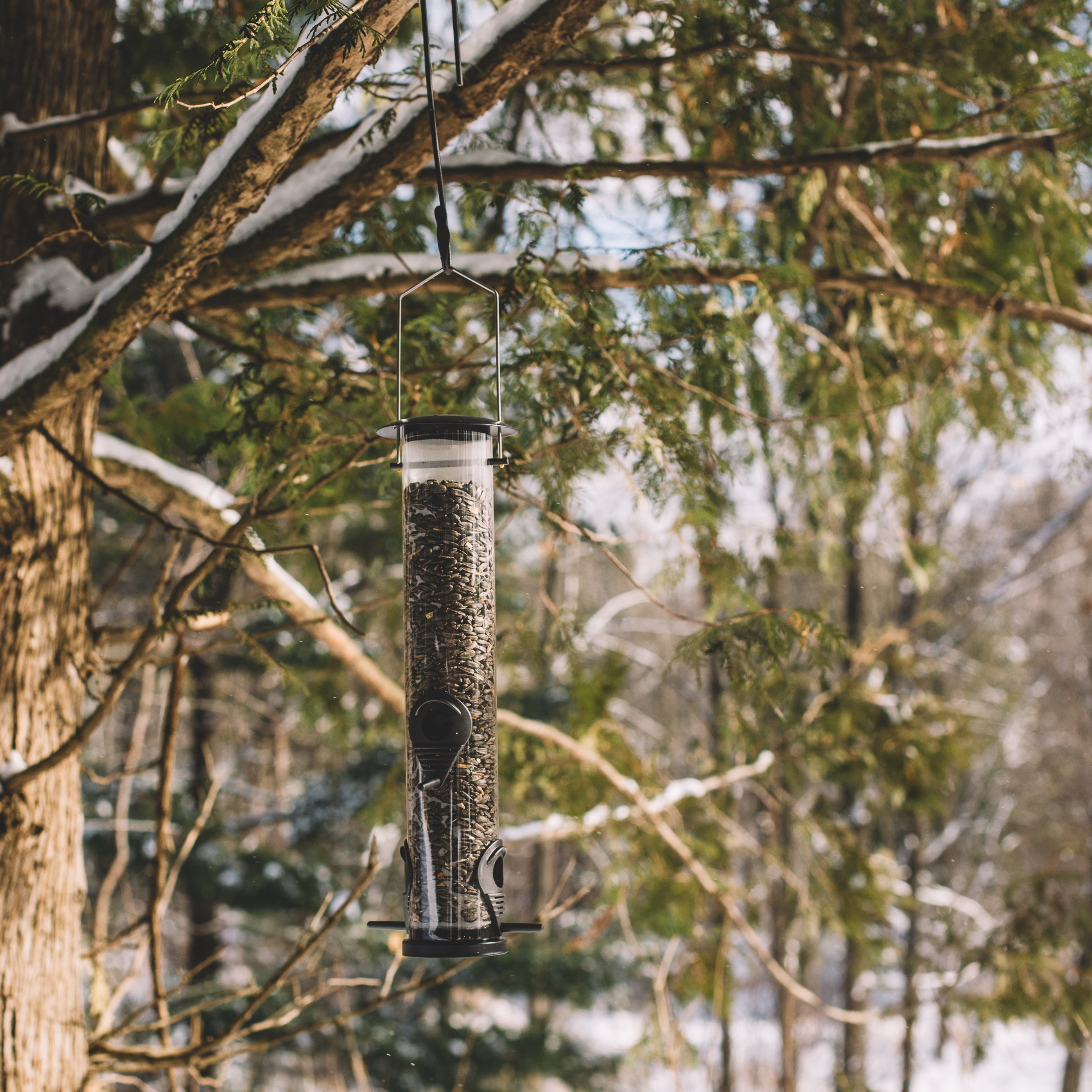 Backyard Expressions Tall Tube Bird Feeder - Durable Hanging Wild Bird Feeder for Wild Birds - 23" Tall, 6-Port Design
