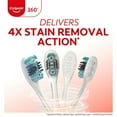 thumbnail image 2 of Colgate Optic White 360 Manual Toothbrush Soft (8 Pack), 2 of 7