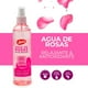 thumbnail image 3 of Agua de rosas Jaloma 250 ml, 3 of 3