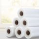 thumbnail image 2 of Rollo para sellado al vacío FoodSaver GameSaver 28 cm x 4,9 m libre de BPA, 2 of 4