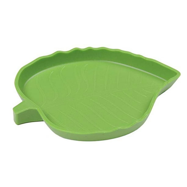 2 Pièces - Nourriture pour Reptiles Abreuvoir Tortue Plat de  Reptile?Gamelle d'eau pour Tortue en Forme de Feuille pour Petits Animaux  Domestiques Reptile Tortue Lézard Serpents