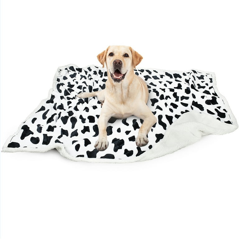 Kritter Planet Cow Print Large Dog Blanket Super Soft Fluffy Sherpa Fleece Dog Couch Blankets and Throws for Large Medium Small Dogs Puppy Doggy Pet
