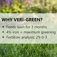 thumbnail image 6 of (16004 Veri-Green Lawn Food - 29-0-3 Grass Fertilizer (5,000 Sq. Ft.), 6 of 10