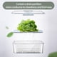 thumbnail image 4 of Caja De Almacenamiento De Cocina Organización Nevera Alimentos con Registrador De Tiempo Bandeja Hermética Refrigerador Preservación Frutas Verduras Mantener Fresco Transparente, 4 of 5