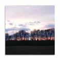 thumbnail image 2 of Gango Home Decor Winter Sunset Square I by Alan Hausenflock (Printed on Paper); One 24x24in Fine Art Paper Giclee Print, 2 of 4