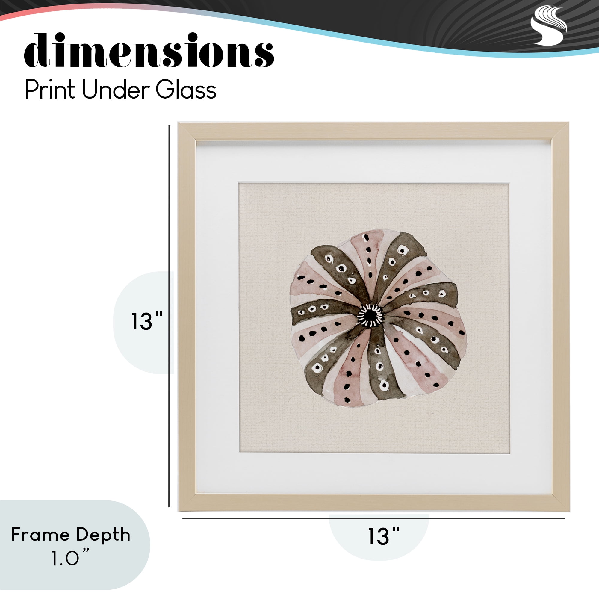 Stupell Industries Taupe Striped Sea Urchin Birch Framed Print Under Glass, design by Lanie Loreth
