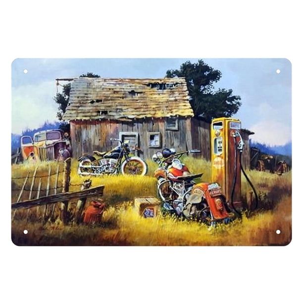 Pintura Hojalata Rectangular 30*20cm Serie Coches Montar en Motocicleta Plano (1)