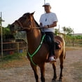 thumbnail image 4 of Coraza de caballo Collar Arnés Halter Tack Ajustable LED Night Riding Verde Cola Collar de coraza de caballo, 4 of 8