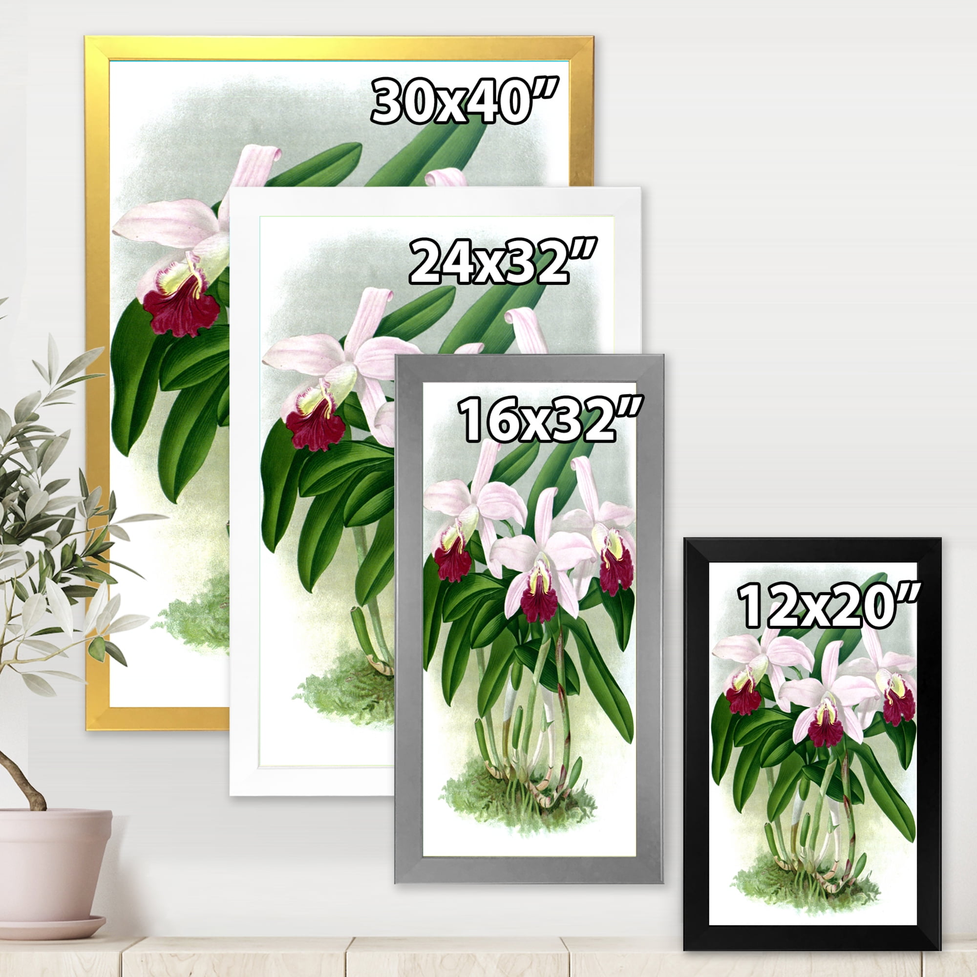 Designart 'White Vintage Orchid Flower I' Traditional Framed Art Print