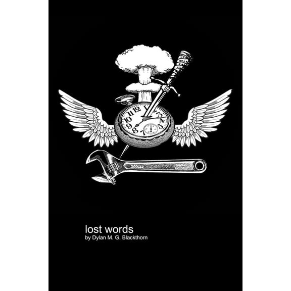 Lost Words, (Paperback)