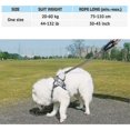thumbnail image 3 of Large Dog Leash Anti Traction Strong Rope Leash For Large Dogs From 20 To 60kg With Comfortable Handle, 3 of 3