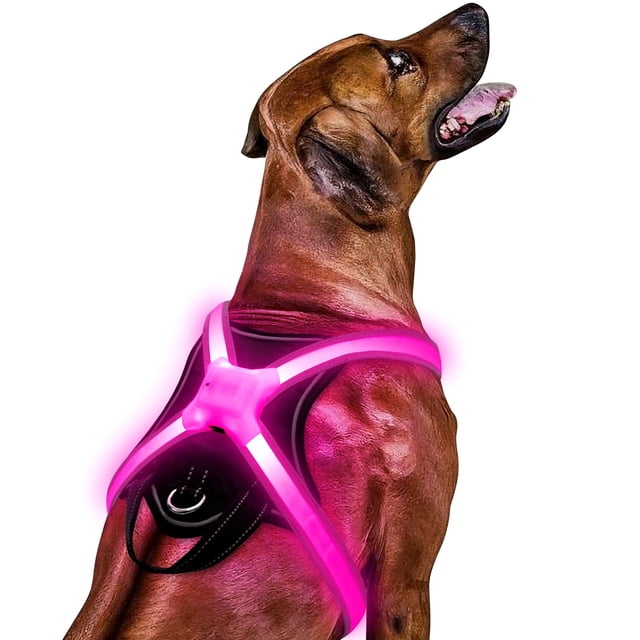 Arnés LED para Perro ChalkLit Multicolor con 7 Modos de Iluminación Talla M