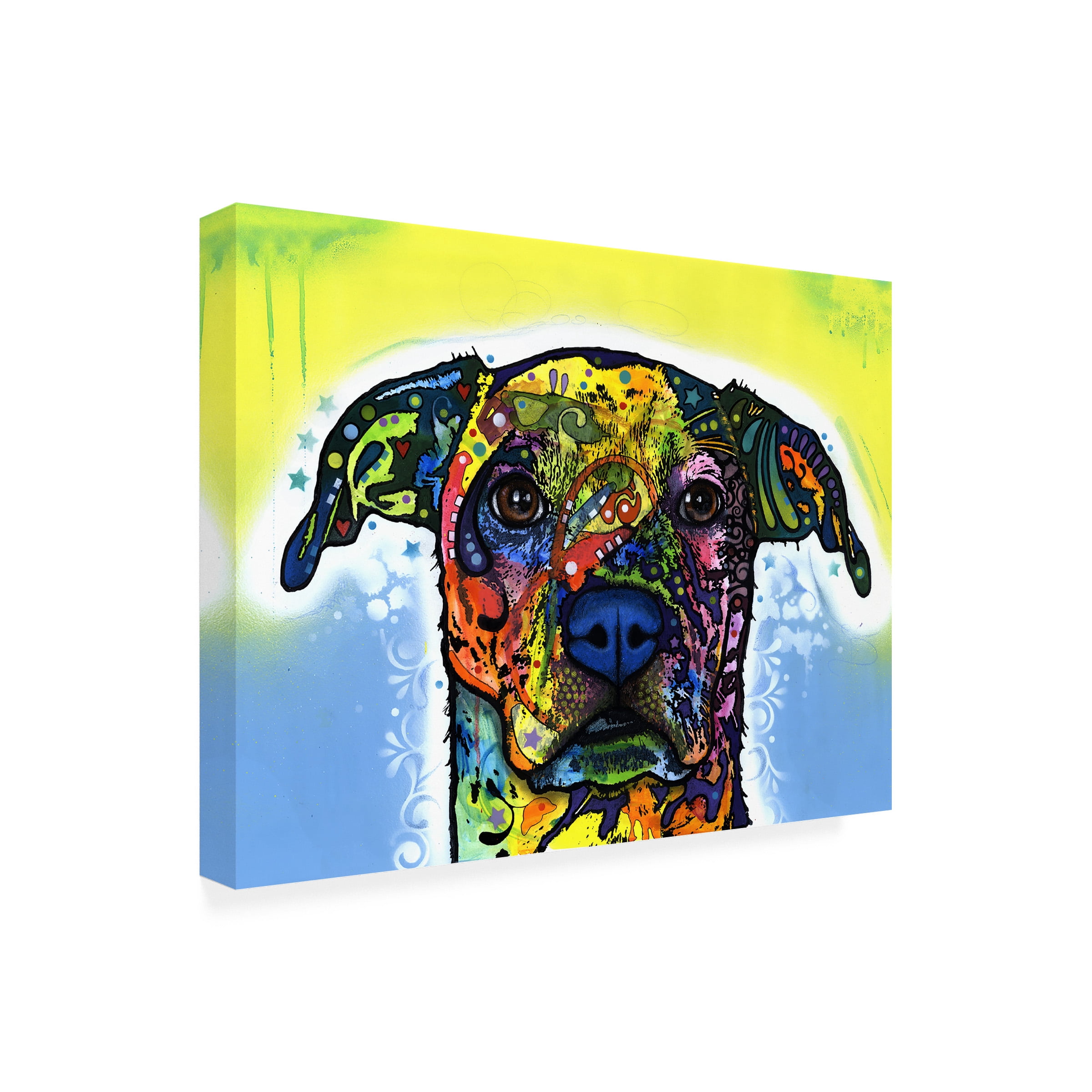 Dean Russo 'Fiesta' Outdoor Canvas 35x47