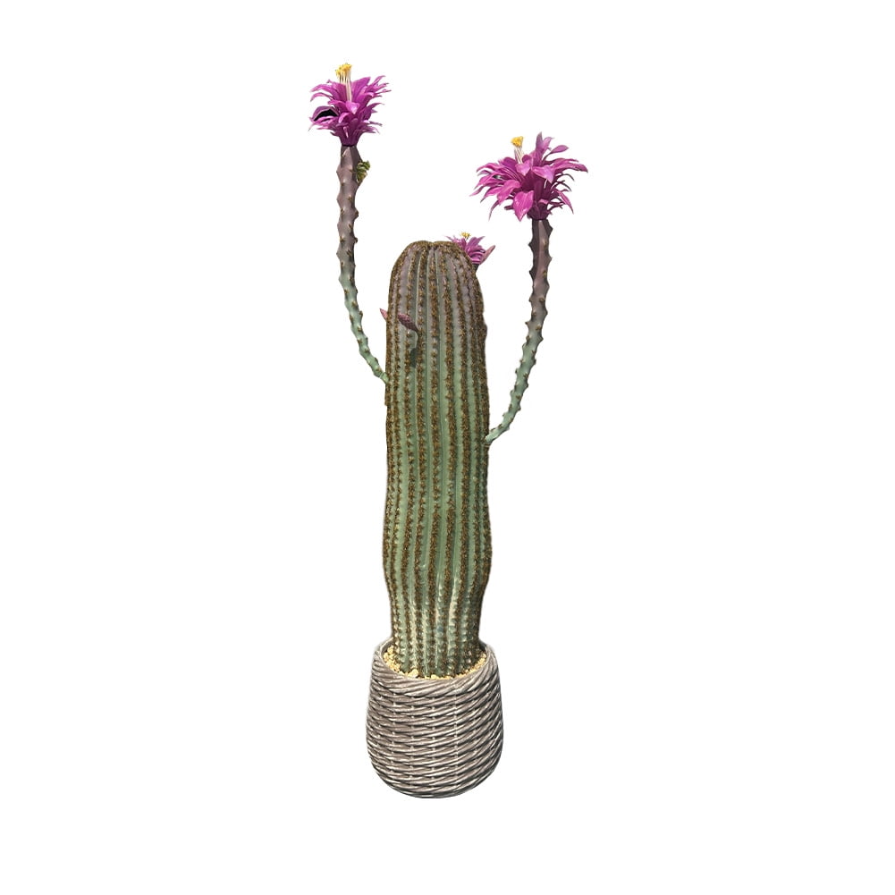 Danolapsi 43Inch Artificial Cactus Plant, Faux Desert Cacti Potted Plant, Artificial Realistic Texture Potted Tall Fake Cactus For Home Office Living Room Bedroom Foyer Porch