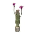 thumbnail image 6 of 43Inch Artificial Cactus Plant, Faux Desert Cacti Potted Plant, Artificial Realistic Texture Potted Tall Fake Cactus For Home Office Living Room Bedroom Foyer Porch, 6 of 7